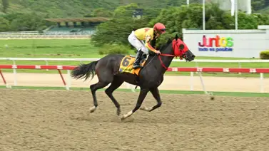 Eterna Amanda busca la gloria: Hacia la Triple Corona en el Clásico Joaquín Crespo (GI) Eterna Amanda busca la gloria: Hacia la Triple Corona en el Clásico Joaquín Crespo (GI)