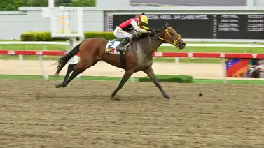 Ambrosia luce como firme candidata para llevarse el Clásico Armada Nacional Bolivariana (GIII) Ambrosia luce como firme candidata para llevarse el Clásico Armada Nacional Bolivariana (GIII)