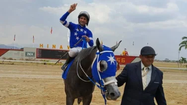 Super Mathias buscará de reponerse de la reciente derrota en la Copa Unión de jinetes del Estado Carabobo