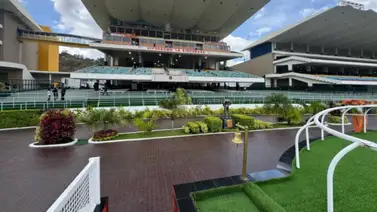 Potro del año en Estados Unidos tendrá una hija que debuta este domingo en La Rinconada Potro del año en Estados Unidos tendrá una hija que debuta este domingo en La Rinconada