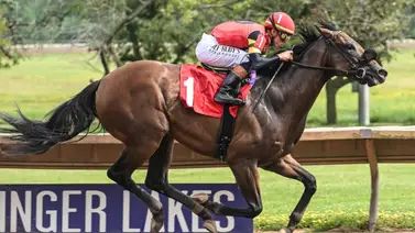 Irad Ortiz Jr arrancó la semana con victoria en un stakes de $156.000 en Nueva York Irad Ortiz Jr arrancó la semana con victoria en un stakes de $156.000 en Nueva York