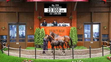 Dueño de Sodashi compra al primer potro de Equinox en $1.5 millones en Japón Dueño de Sodashi compra al primer potro de Equinox en $1.5 millones en Japón