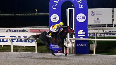 El caballo uruguayo Touch of Destiny viajó a Estados Unidos con miras a la Breeder’s Cup Mile El caballo uruguayo Touch of Destiny viajó a Estados Unidos con miras a la Breeder’s Cup Mile