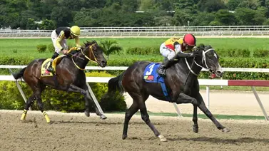 Yegua con pasado bajo averiguación busca revancha en selectiva Yegua con pasado bajo averiguación busca revancha en selectiva