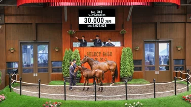 Venden un producto de Frankel en 2 millones de dólares en Japón