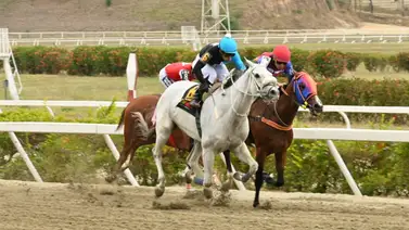 ¡Atención Hípica! La Mejor atropellada de 2024 vuelve a La Rinconada ¡Atención Hípica! La Mejor atropellada de 2024 vuelve a La Rinconada