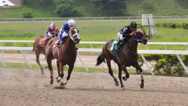 Sorpresa en la Pista: La yegua que siempre es "Dato" ahora reaparece y parte por fuera en La Rinconada Sorpresa en la Pista: La yegua que siempre es "Dato" ahora reaparece y parte por fuera en La Rinconada