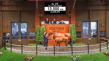 Conoce el precio que pagaron en Japón por este potro de Flightline y nieto de Justify