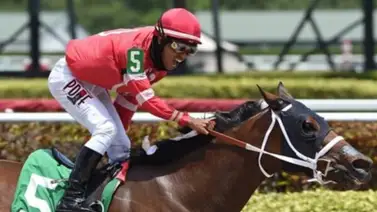 El jinete venezolano René Díaz consiguió doble triunfos en cierre de mitin El jinete venezolano René Díaz consiguió doble triunfos en cierre de mitin