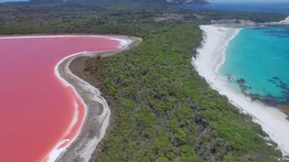 La amenaza del cambio climático y cómo afectaría los lagos rosados de Australia