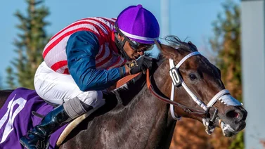 Jockey que se ha recuperado de dos tumores cerebrales montará este jueves 