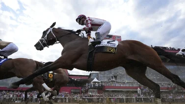 Journalism comanda la nómina del Haskell Stakes G1 de 1 millón de dólares 