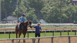 José Francisco D’Angelo inicia la semana con victoria en Saratoga
