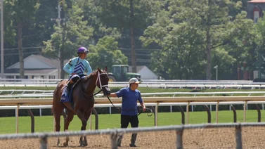 José Francisco D’Angelo inicia la semana con victoria en Saratoga