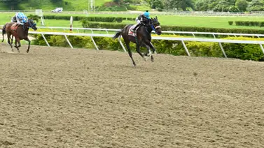 Atención apostadores: Cómo ajustó la línea de Gaceta Hípica puede conseguir una victoria segura en el 5y6 dominical Atención apostadores: Cómo ajustó la línea de Gaceta Hípica puede conseguir una victoria segura en el 5y6 dominical