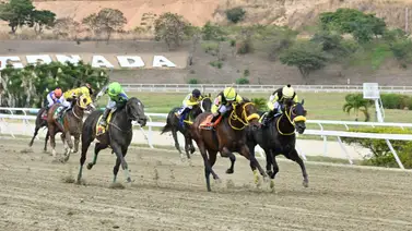 Ojo al Sellar: Te revelamos el ajuste de la gran opción de Gaceta Hípica que será el as bajo la manga para el 5y6 Ojo al Sellar: Te revelamos el ajuste de la gran opción de Gaceta Hípica que será el as bajo la manga para el 5y6