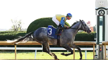 Tyler Gaffalione regresa a las montas esta semana tras una lesión de cuatro meses Tyler Gaffalione regresa a las montas esta semana tras una lesión de cuatro meses