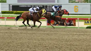 Jugada estratégica: Así queda el ajuste de la sorpresa de Gaceta Hípica que podrá definir su triunfo en el 5y6 de la R27 Jugada estratégica: Así queda el ajuste de la sorpresa de Gaceta Hípica que podrá definir su triunfo en el 5y6 de la R27