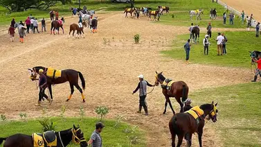 Última hora: Se presenta el primer retiro para el 5y6 de Hinava Última hora: Se presenta el primer retiro para el 5y6 de Hinava