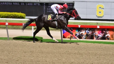 No pases por alto: Este caballo se lució con el mejor ajuste del miércoles y es el dato que te hará ganar la R27