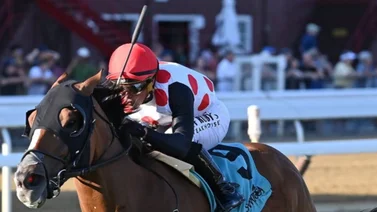 El inmortal Javier Castellano va por cuatro Stakes el sábado en Monmouth Park