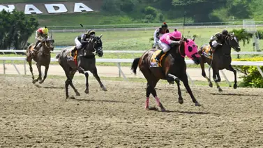 Presta mucha atención: El ajuste cómodo de esta yegua parece estar preparada para cruzar el disco en ganancia en La Rinconada Presta mucha atención: El ajuste cómodo de esta yegua parece estar preparada para cruzar el disco en ganancia en La Rinconada