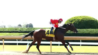 Junior Alvarado busca completar su séptima temporada con 20 o más Stakes ganados Junior Alvarado busca completar su séptima temporada con 20 o más Stakes ganados