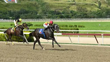 No la subestimes: Esta yegua que de ganar podrá abonar un buen dividendo en el Clásico Armada Nacional Bolivariana (G2) No la subestimes: Esta yegua que de ganar podrá abonar un buen dividendo en el Clásico Armada Nacional Bolivariana (G2)