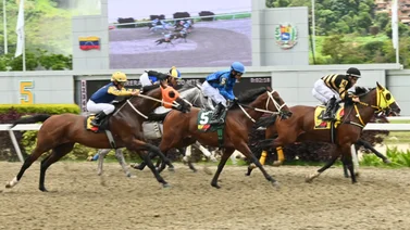 Favoritos de la cátedra para el 5y6 Nacional de la reunión N°27 en el hipódromo La Rinconada 