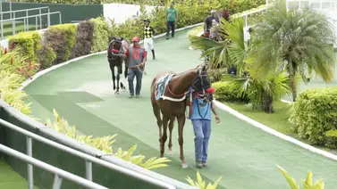 Lo que todos esperan: A esta hora te revelamos el dato más corrido que participa en la segunda válida de la R27 Lo que todos esperan: A esta hora te revelamos el dato más corrido que participa en la segunda válida de la R27