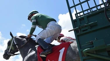 Datos de última hora que incluye el Best Bet y los Picks para la jornada en Gulfstream Park 18-7-2025 