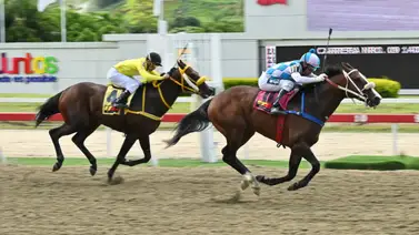 No apuestes sin ver: Descubre al ejemplar que da por video que de ganar podría ofrecer un buen dividendo en La Rinconada No apuestes sin ver: Descubre al ejemplar que da por video que de ganar podría ofrecer un buen dividendo en La Rinconada