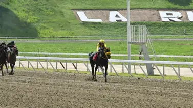 Datos de Última Hora para el Hipódromo La Rinconada 20-7-2025 Datos de Última Hora para el Hipódromo La Rinconada 20-7-2025