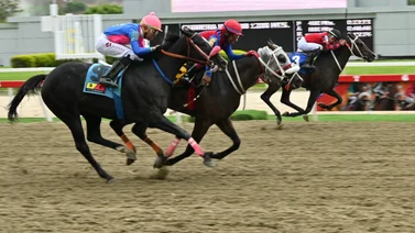 Está Imparable: El ajuste de este caballo importado lo deja preparado para repetir victoria en el óvalo de La Rinconada 