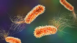 Confirman la expansión de un gen que transforma a las bacterias (+Detalles)