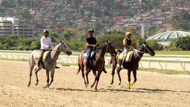 Sella tu cuadro: Debutante logra un excelente ajuste y queda listo para su competencia en el 5y6 de La Rinconada