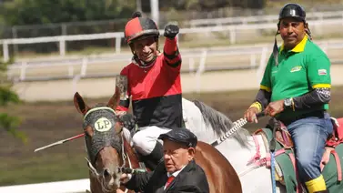 Maikor Ibarra espera cerrar sus compromisos ganando con este ejemplar el domingo Maikor Ibarra espera cerrar sus compromisos ganando con este ejemplar el domingo