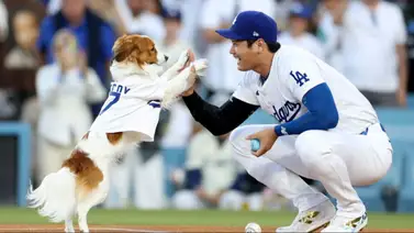 MLB: Shohei Ohtani coescribe un libro para niños basado en su perro (+Detalles) MLB: Shohei Ohtani coescribe un libro para niños basado en su perro (+Detalles)