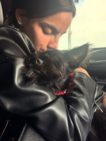 María Gabriela de Faría adopta a su propio 'Krypto' en la premiere de Superman- María Gabriela de Faría adopta a su propio 'Krypto' en la premiere de Superman