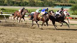 Emoción y ganancias con los Clásicos hípicos en MeridianoBet