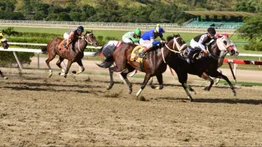 Emoción y ganancias con los Clásicos hípicos en MeridianoBet