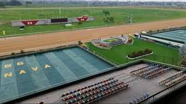 Hipismo en Valencia: ¡Emoción y ganancias con las carreras de este sábado!