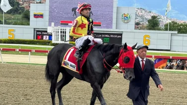 Lo hizo de nuevo: Esto fue lo que logró Jaime Lugo con la victoria de Eterna Amanda en el Clásico General Joaquín Crespo (G1)