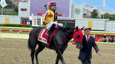 Lo hizo de nuevo: Esto fue lo que logró Jaime Lugo con la victoria de Eterna Amanda en el Clásico General Joaquín Crespo (G1) Lo hizo de nuevo: Esto fue lo que logró Jaime Lugo con la victoria de Eterna Amanda en el Clásico General Joaquín Crespo (G1)