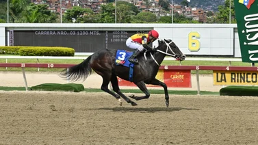 Histórico: Fast Sensations empata a la recordada campeona Gelinotte en este renglón