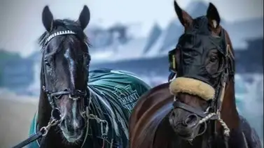 Sovereignty vs Baeza este sábado en el Jim Dandy Stakes en Saratoga Sovereignty vs Baeza este sábado en el Jim Dandy Stakes en Saratoga