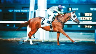 Perry Wayne Ouzts esta semana por el récord de montas de Russel Baze en Estados Unidos Perry Wayne Ouzts esta semana por el récord de montas de Russel Baze en Estados Unidos