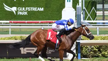 Wilfred Vásquez gana en Gulfstream Park con un ejemplar de Saffie Joseph Jr.  Wilfred Vásquez gana en Gulfstream Park con un ejemplar de Saffie Joseph Jr.