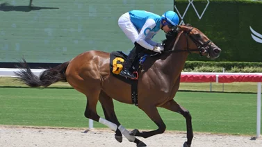 Cipriano Gil con doblete el fin de semana en Gulfstream Park 