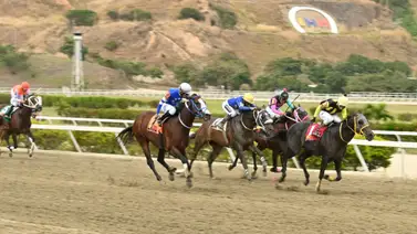 Un retorno de 153 días: El dato finalmente se hará sentir en la reunión 28 de La Rinconada Un retorno de 153 días: El dato finalmente se hará sentir en la reunión 28 de La Rinconada